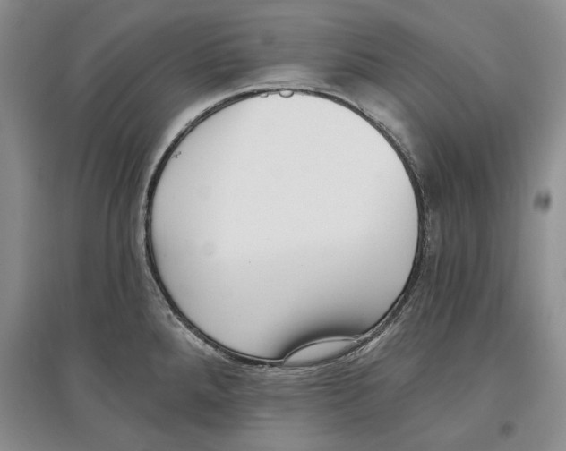 X0000097291288200803141502