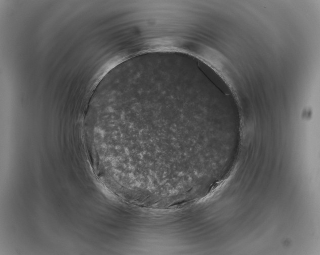 X0000097291289200803141502