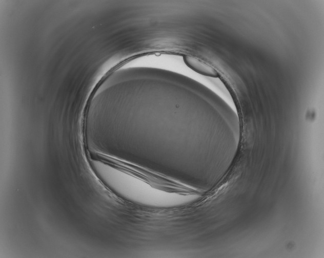 X0000097291291200803141502