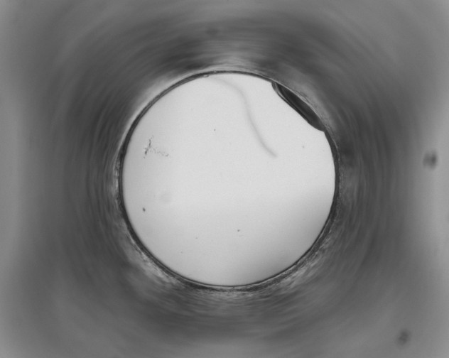 X0000097291292200803141502