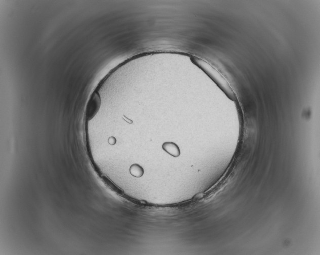 X0000097291293200803141502