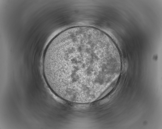 X0000097291294200803141502