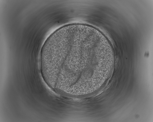 X0000097291295200803141502