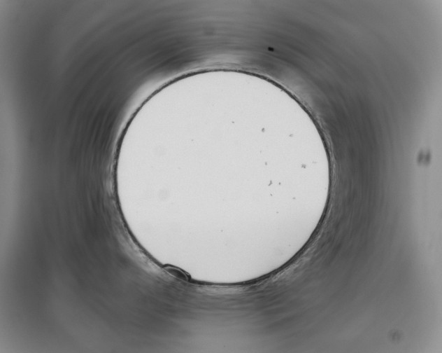 X0000097291296200803141502