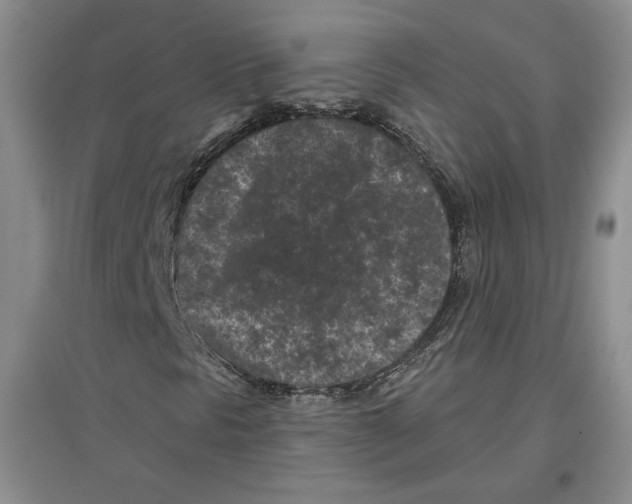 X0000097291297200803141501