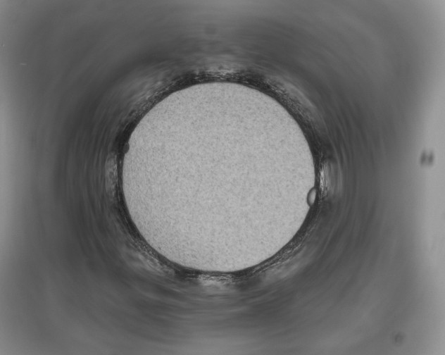 X0000097291299200803141501