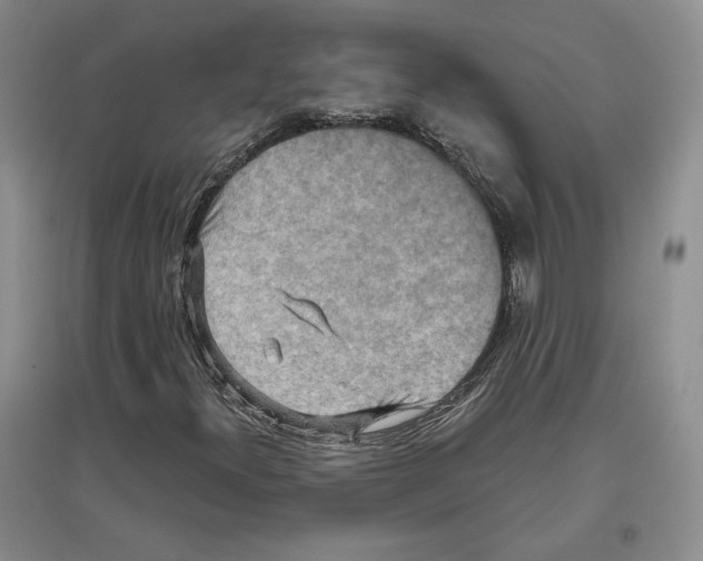 X0000097291300200803141501