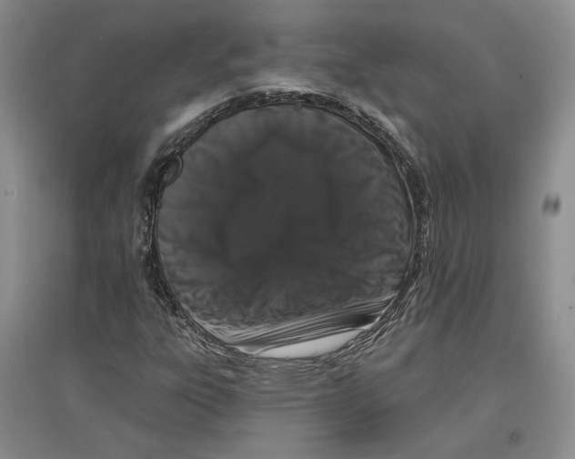 X0000097291303200803141501