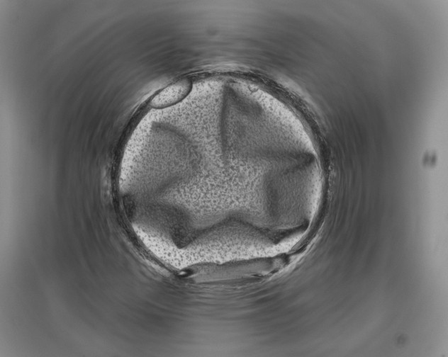 X0000097291305200803141501