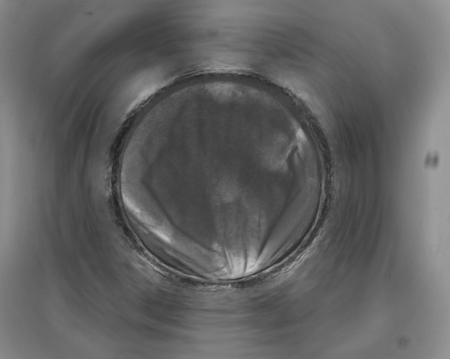 X0000097291306200803141501