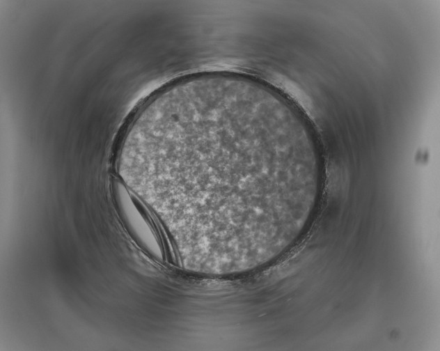 X0000097291308200803141501