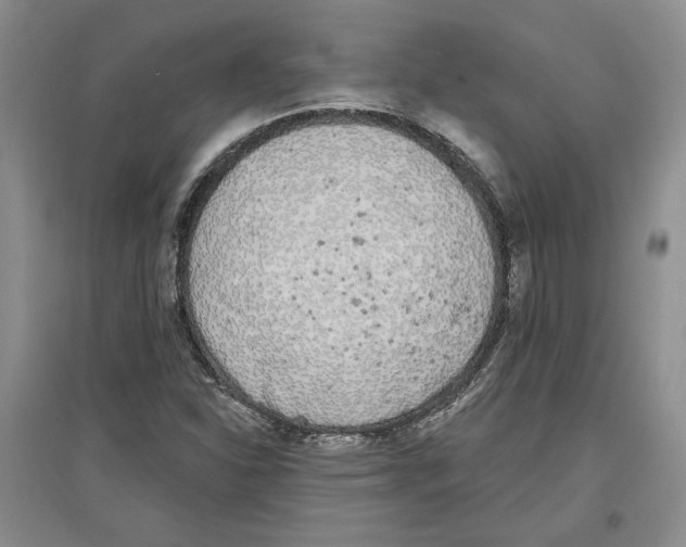 X0000097291310200803141501