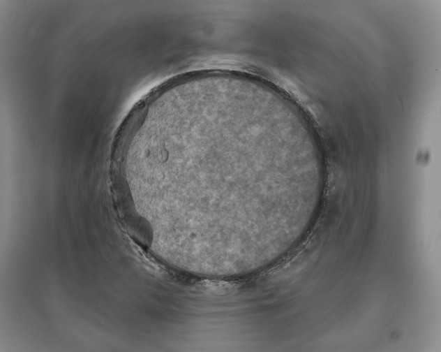 X0000097291312200803141501