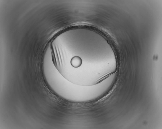 X0000097291313200803141501