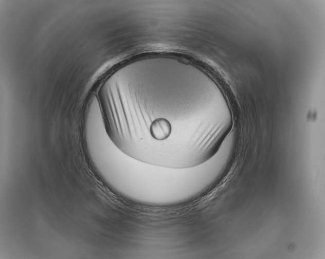 X0000097291314200803141501