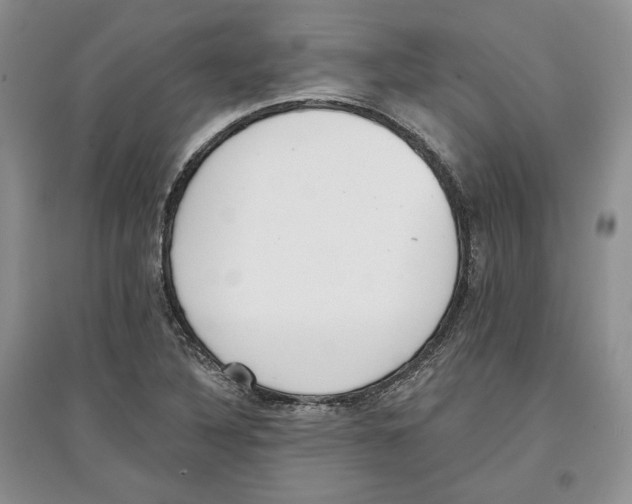 X0000097291316200803141501