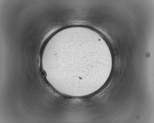 X0000097291317200803141501