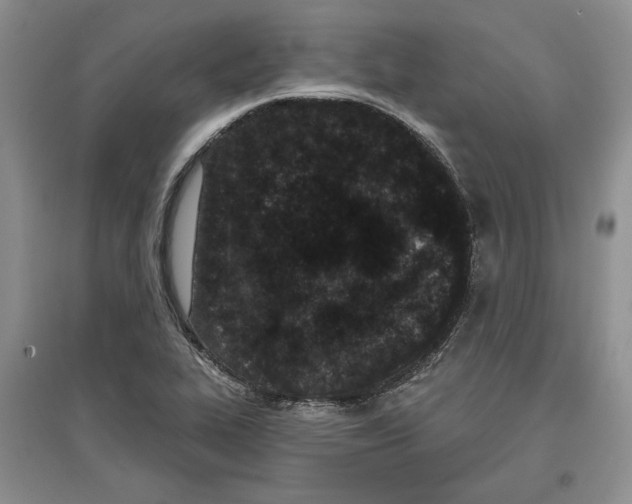 X0000097291319200803141502