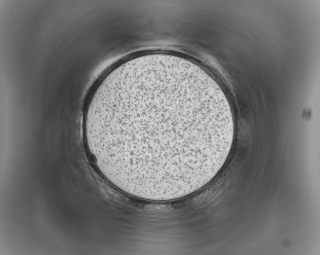 X0000097291320200803141502