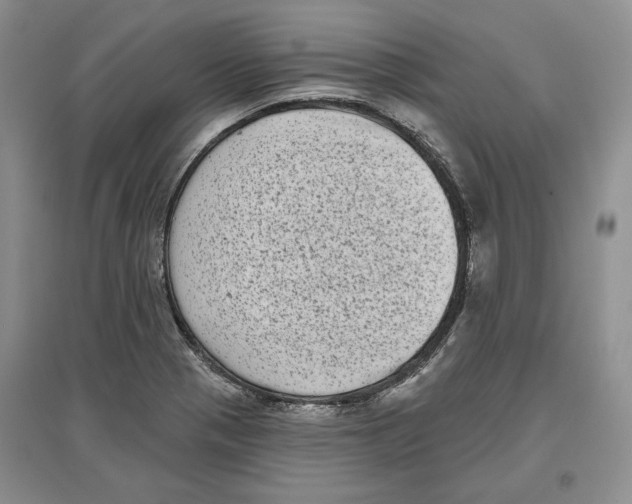 X0000097291321200803141502