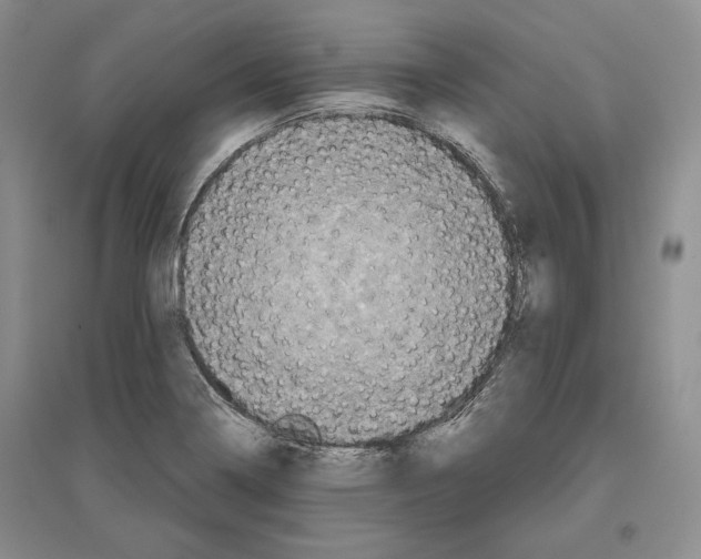 X0000097291322200803141502