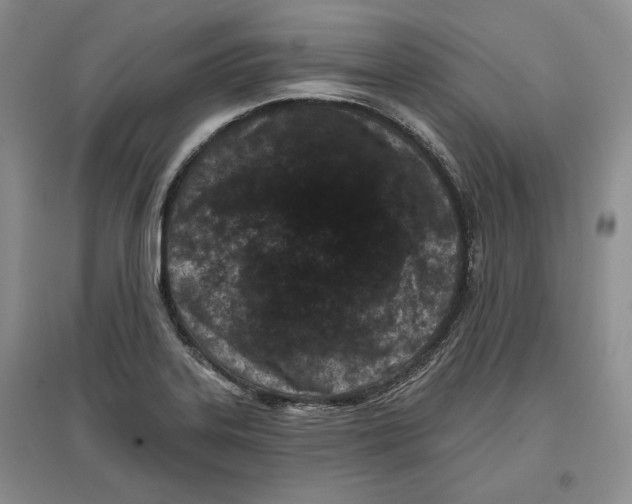 X0000097291323200803141502