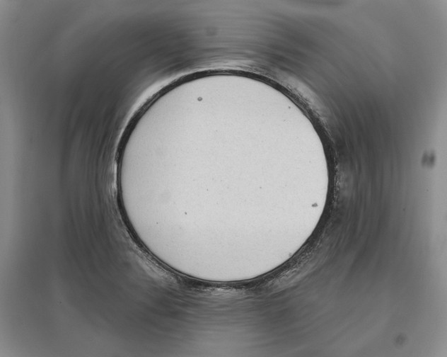 X0000097291324200803141502