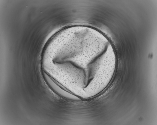 X0000097291325200803141502