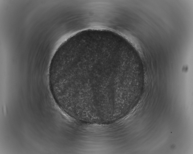 X0000097291327200803141502