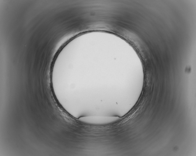 X0000097291328200803141502