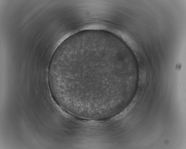 X0000097291329200803141502