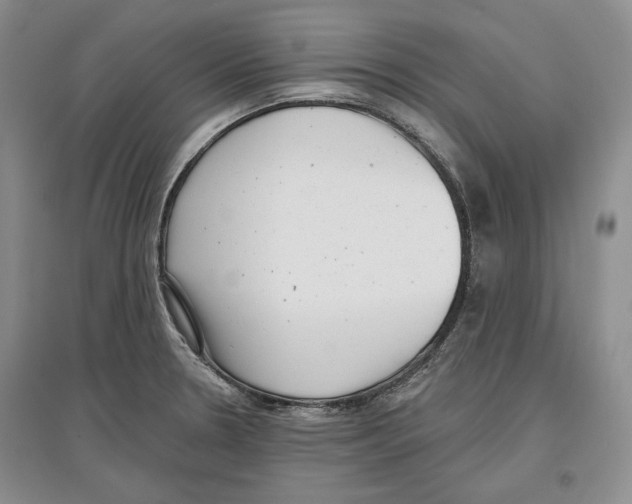 X0000097291330200803141502