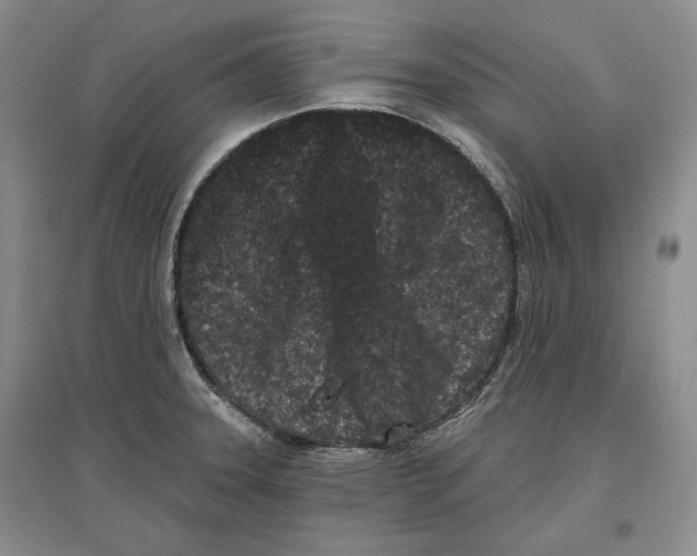 X0000097291331200803141502