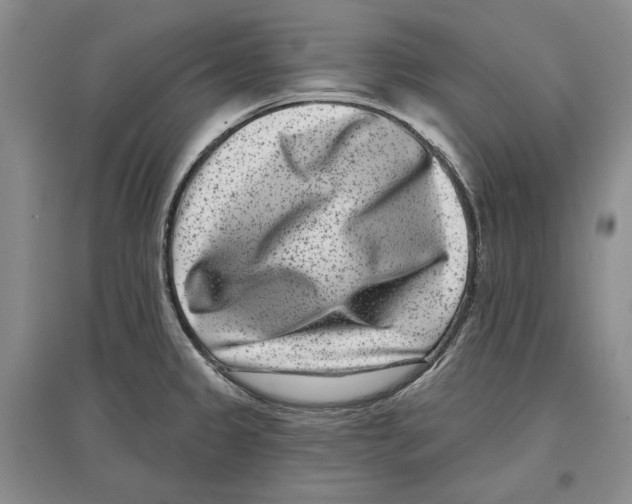 X0000097291333200803141502