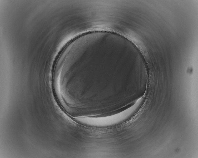 X0000097291334200803141502