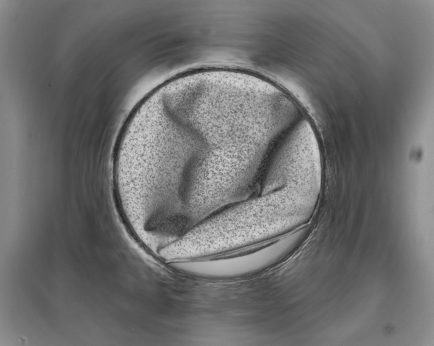 X0000097291335200803141502