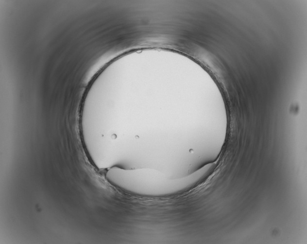 X0000097291336200803141502