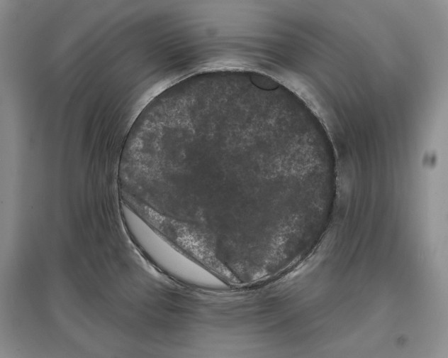 X0000097291337200803141502