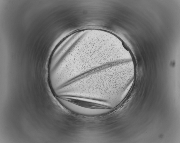 X0000097291341200803141502