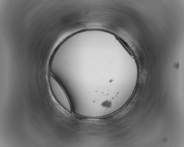 X0000097291342200803141502