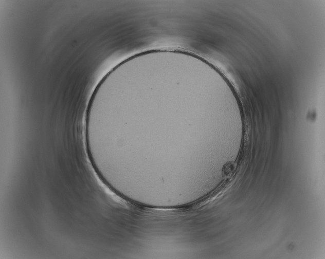 X0000097291343200803141502