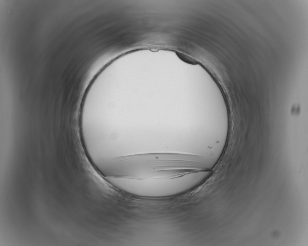 X0000097291344200803141502