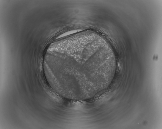 X0000097291348200803141501