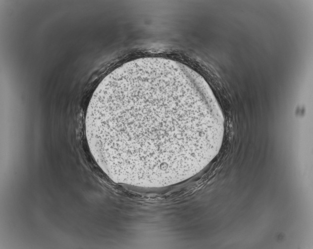 X0000097291349200803141501