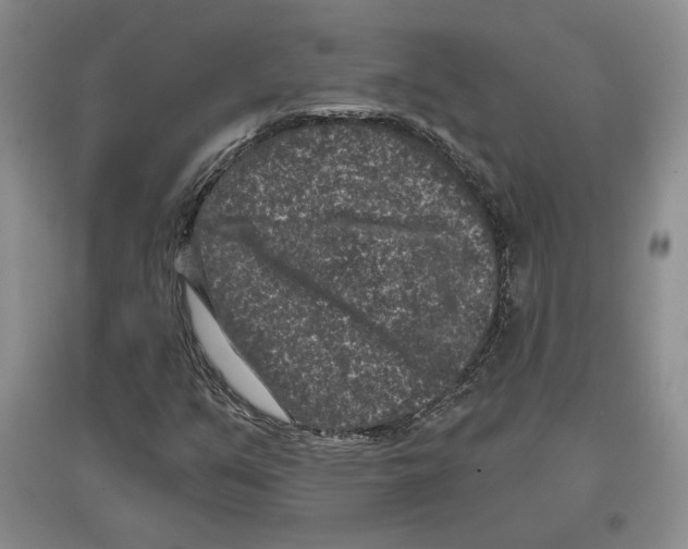 X0000097291351200803141501