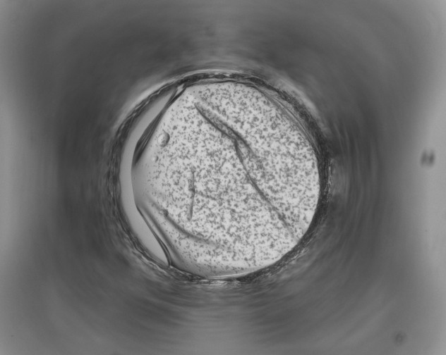 X0000097291352200803141501