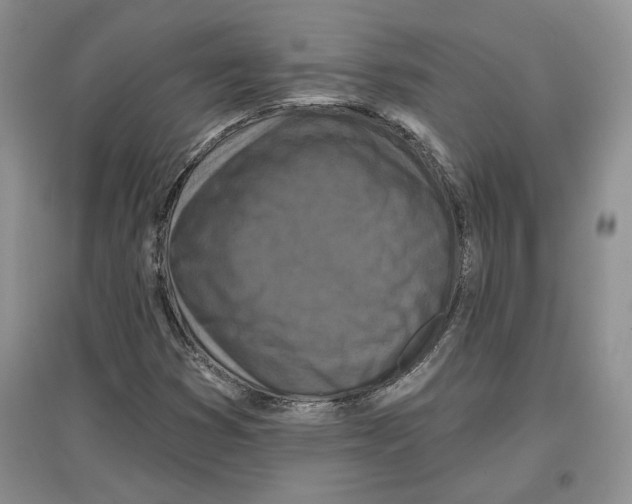 X0000097291353200803141501