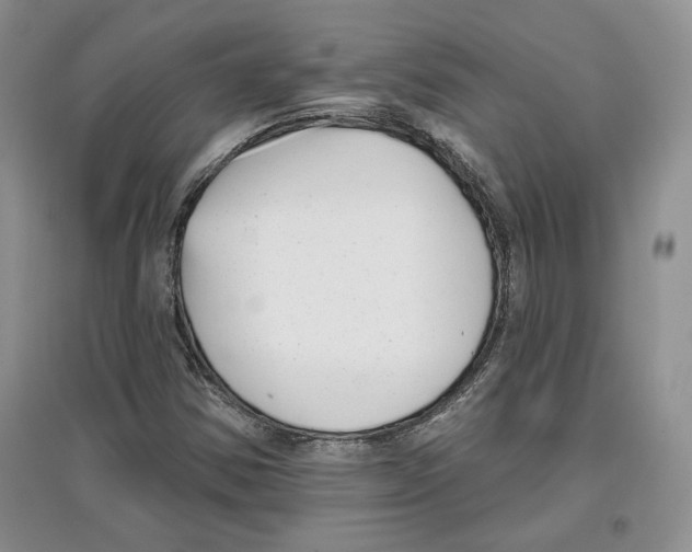 X0000097291354200803141501