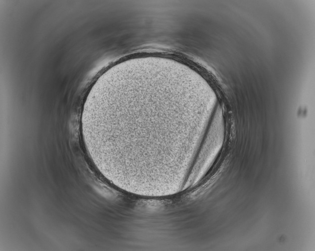 X0000097291355200803141501