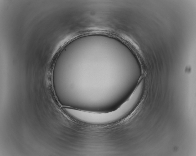 X0000097291357200803141501